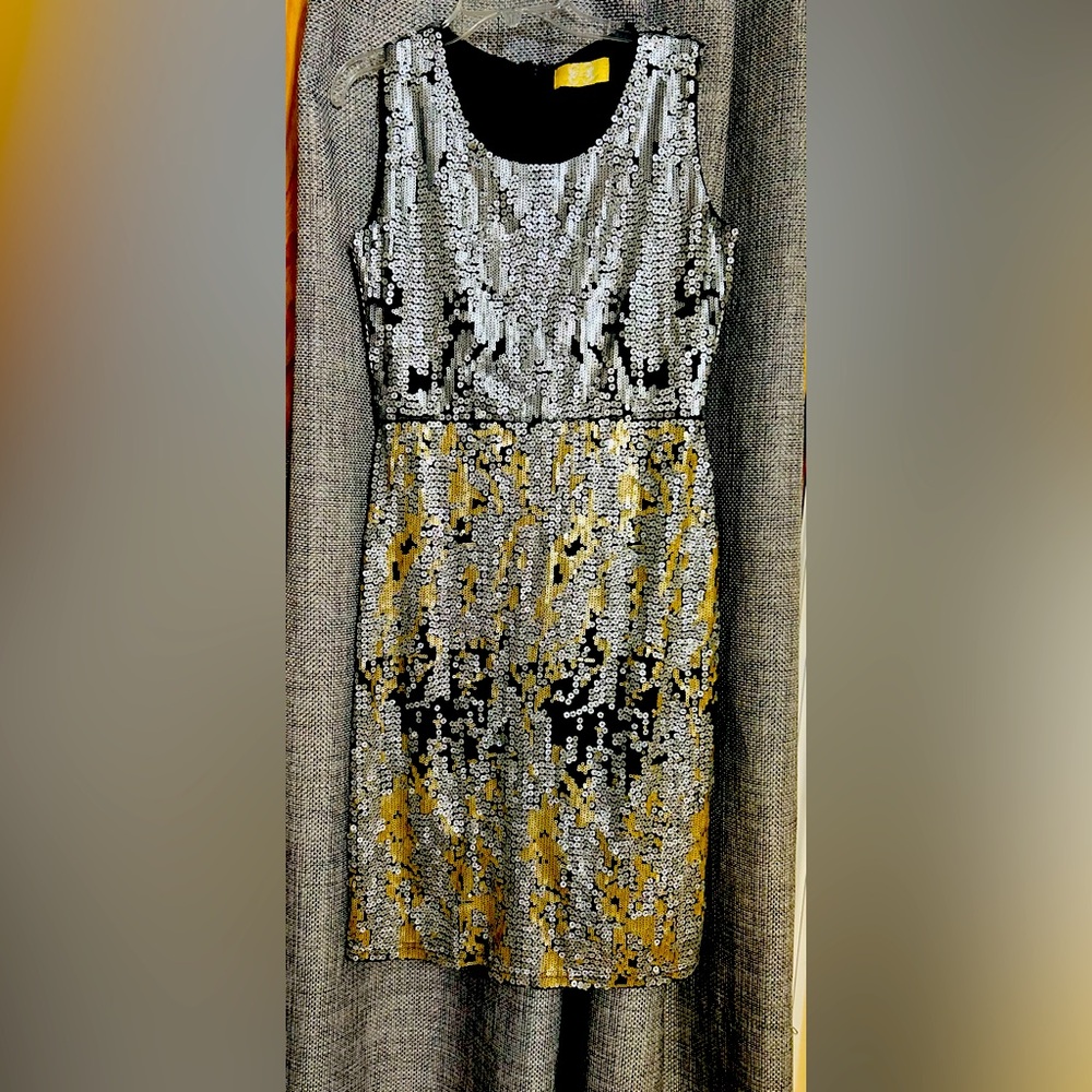 a gleaming sequined silver and gold beautiful evening dress
